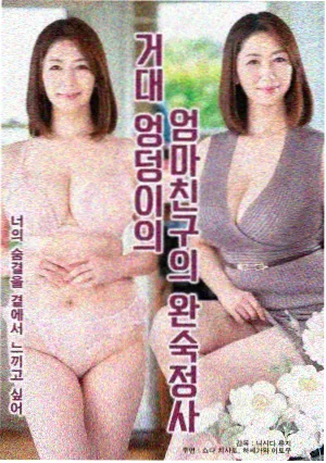 白噪音档案推荐封面